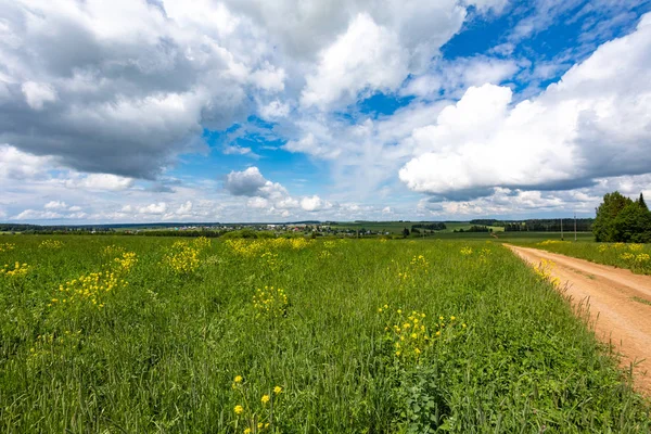 Rural road that goes through green meadows and fields. Sunny summer day