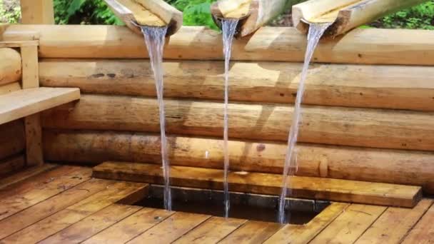 Spring Flows Wooden Gutters Girl Drinks Water Spring — Stock Video