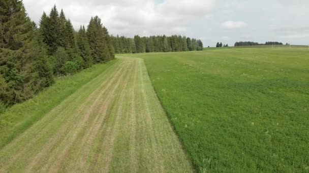 Lindas Paisagens Verão Com Floresta Céu Quadrocopter Fotografia Aérea — Vídeo de Stock