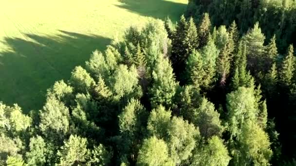 Lindas Paisagens Verão Com Floresta Céu Quadrocopter Fotografia Aérea — Vídeo de Stock