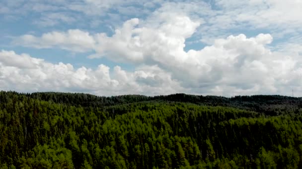 美丽的夏季风景与森林和天空 四轴飞行器航空摄影 — 图库视频影像