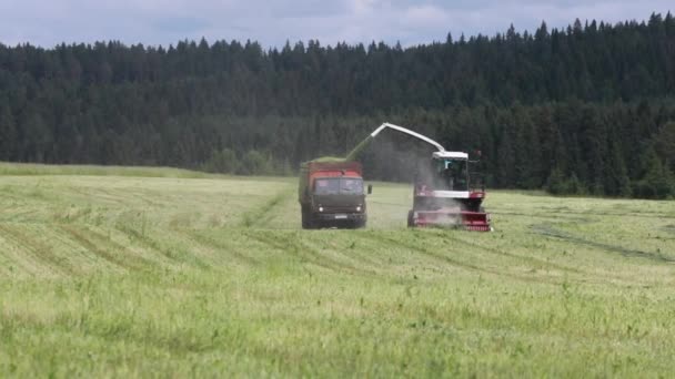 Maszyny Rolnicze Zbioru Letnia Strada Wiosce — Wideo stockowe