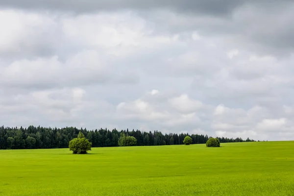 緑の草と青い空の風景 空に白い雲 — ストック写真