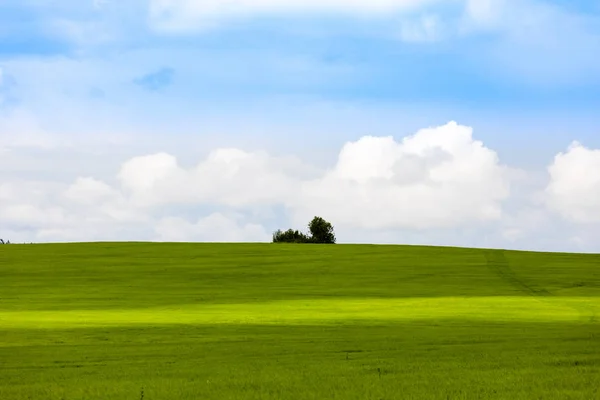 Landschaft Mit Grünem Gras Und Blauem Himmel Weiße Wolken Himmel — Stockfoto