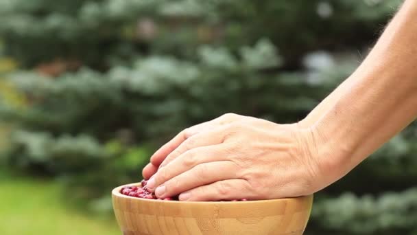 Manos Femeninas Con Arándanos Rojos Maduros Sobre Fondo Hierba — Vídeo de stock