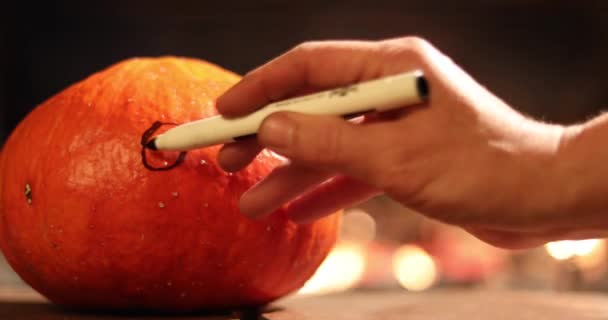 Paddestoel Het Mos Een Groene Achtergrond Het Herfst Bos — Stockvideo