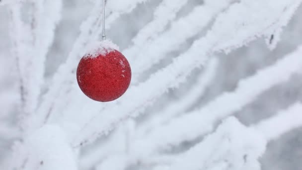 新年クリスマスとデコレーション赤いおもちゃのサンタクロースが森の枝に揺れている — ストック動画