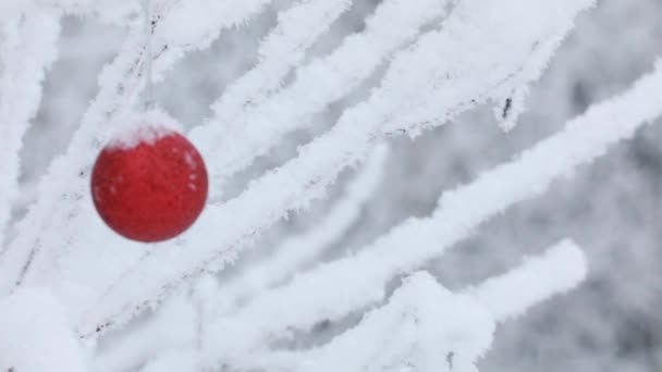 Yeni Yıl Noel Süslemeler Kırmızı Bir Oyuncak Noel Baba Ormanda — Stok video