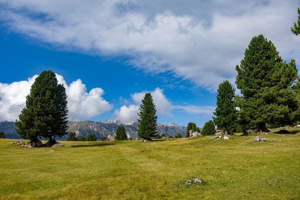 夏天的山 阿尔卑斯山的山景 在意大利旅行 — 图库照片