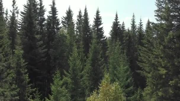 Photographie Aérienne Vue Sur Lac Montagne Zyuratkul Dans Oural Journée — Video