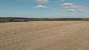 Çiftlik arazisinin en üst manzarası. Buğday tarlalarının dörtlü hava fotoğrafçılığı