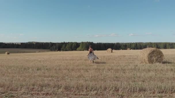 Mujer Joven Vestido Los Campos Trigo Cosechado — Vídeos de Stock