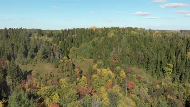 Bosque Otoño Con Río Vista Desde Arriba Quadrocopter Fotografía Aérea — Vídeos de Stock