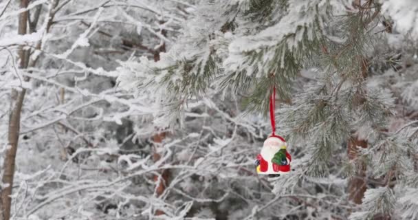 新年圣诞节和装饰品 玩具圣诞老人在森林的树枝上摇摆 — 图库视频影像