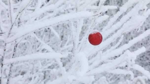 Yeni Yıl Noel Süslemeler Kırmızı Bir Oyuncak Noel Baba Ormanda — Stok video