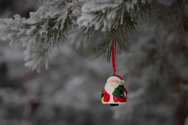 New Year Christmas Decorations Toy Santa Claus Swinging Branch Forest — Stock Photo, Image