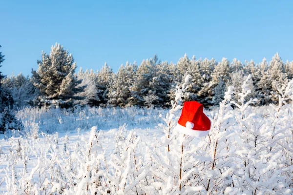 Fundo Natal Com Chapéu Vermelho Ramos Brancos Uma Árvore Natal — Fotografia de Stock