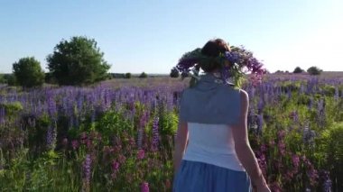 Uçsuz bucaksız yeşil tarlaların üzerinde. Tarım arazisinin en üst görüntüsü