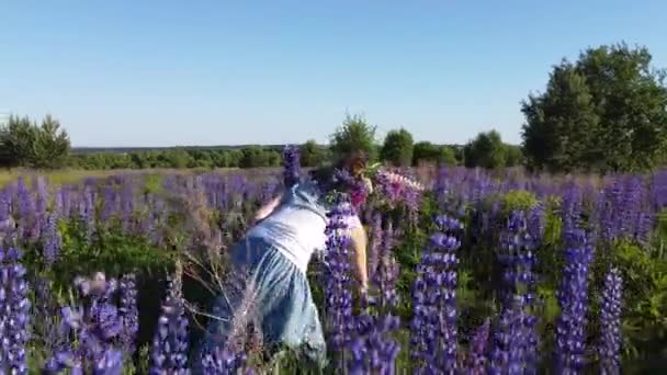 Voando Sobre Infinitos Campos Verdes Vista Superior Das Terras Agrícolas — Vídeo de Stock