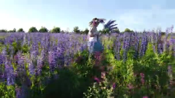 Voando Sobre Infinitos Campos Verdes Vista Superior Das Terras Agrícolas — Vídeo de Stock