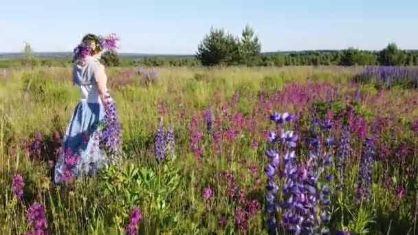 Létají Nad Nekonečnými Zelenými Poli Pohled Shora Zemědělskou Půdu — Stock video