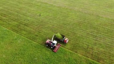 Hava fotoğrafçılığı. Çimleri biçen bir biçicinin geniş ve yakın çekimleri. Yırtıcı kuşlar arabaların üzerinde kıvrılır. Sürdürülebilir biyoyakıt ve organik gıda kavramı.