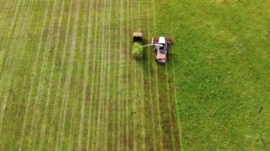 Hava fotoğrafçılığı. Çimleri biçen bir biçicinin geniş ve yakın çekimleri. Yırtıcı kuşlar arabaların üzerinde kıvrılır. Sürdürülebilir biyoyakıt ve organik gıda kavramı.