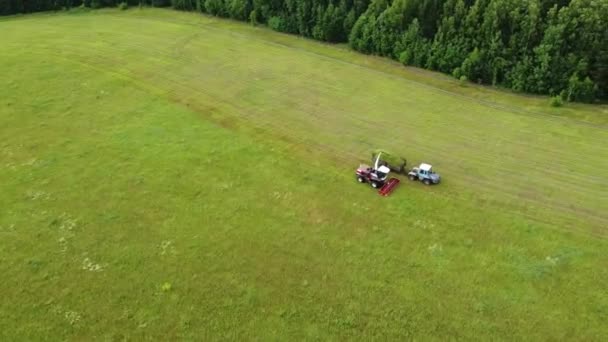 空中写真 緑の草を切断する収穫機の広範かつクローズアップショット 獲物の鳥が車の上を旋回する 持続可能なバイオ燃料と有機食品の概念 — ストック動画
