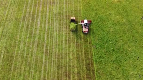 Luftaufnahmen Weite Und Nahaufnahmen Eines Mähdreschers Der Grünes Gras Mäht — Stockvideo