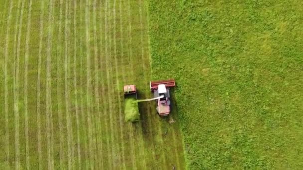 Luchtfotografie Brede Close Opnamen Van Een Oogstmachine Die Groen Gras — Stockvideo