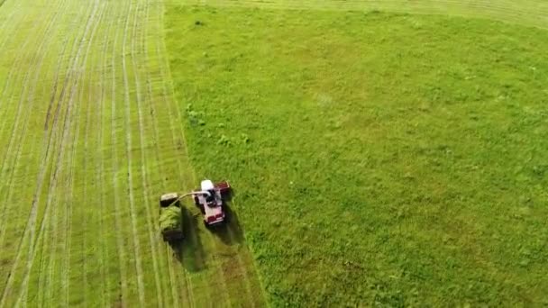 Luftaufnahmen Weite Und Nahaufnahmen Eines Mähdreschers Der Grünes Gras Mäht — Stockvideo
