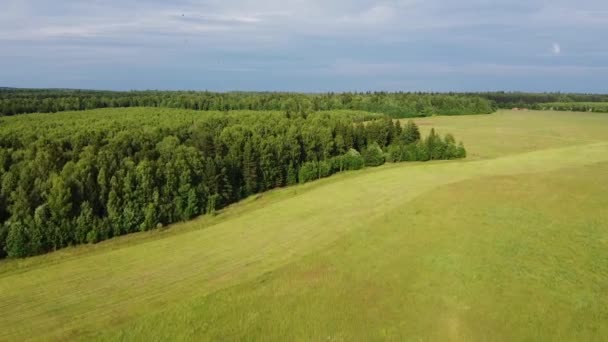 Luftaufnahmen Weite Und Nahaufnahmen Eines Mähdreschers Der Grünes Gras Mäht — Stockvideo