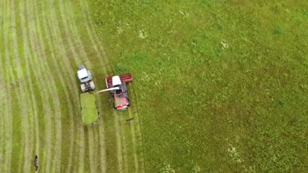 Fotografia Aérea Larga Close Tiros Uma Colheitadeira Cortar Grama Verde — Vídeo de Stock