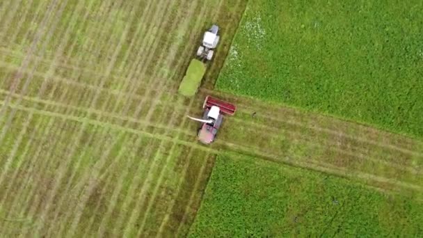 Luftaufnahmen Weite Und Nahaufnahmen Eines Mähdreschers Der Grünes Gras Mäht — Stockvideo