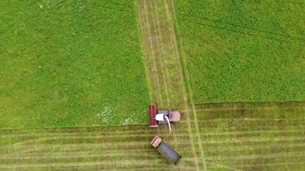 空中写真 緑の草を切断する収穫機の広範かつクローズアップショット 獲物の鳥が車の上を旋回する 持続可能なバイオ燃料と有機食品の概念 — ストック動画