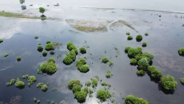 Nach Dem Abstieg Des Wassers Durch Ein Wasserkraftwerk Wurde Der — Stockvideo