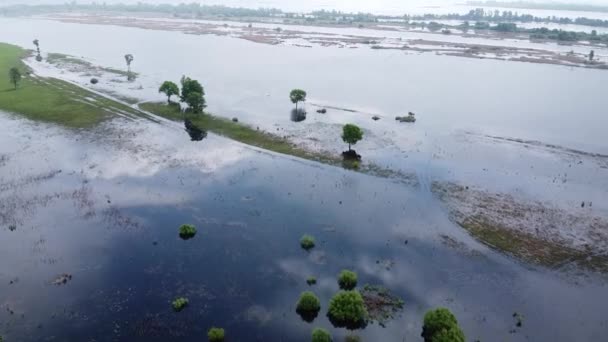 水电站落水后把水洒在河上 草场的水淹 河岸绿树成荫的河流 — 图库视频影像