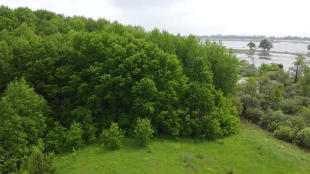 Nach Dem Abstieg Des Wassers Durch Ein Wasserkraftwerk Wurde Der — Stockvideo