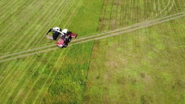 Luchtfotografie Roofvogels Vliegen Zomer Een Tractor Die Gras Verzamelt Landbouwgrond — Stockvideo