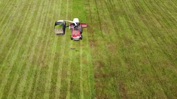 Luftaufnahmen Greifvögel Fliegen Über Einen Traktor Der Sommer Gras Auf — Stockvideo