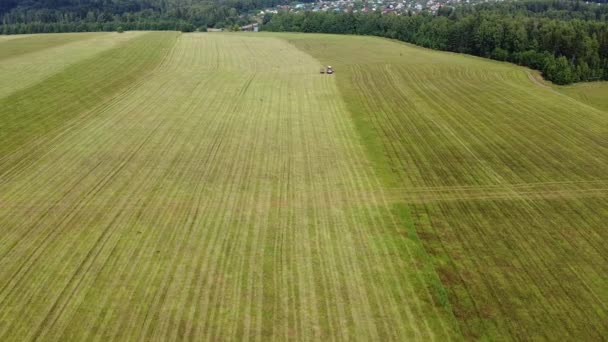 Letecká Fotografie Práce Zemědělských Strojů Sekání Trávy Pro Domácí Mazlíčky — Stock video