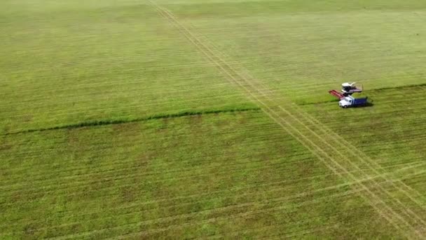 Fotografía Aérea Trabajo Maquinaria Agrícola Siega Césped Para Mascotas — Vídeos de Stock