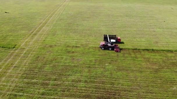 Luftaufnahmen Die Arbeit Von Landmaschinen Beim Rasenmähen Für Haustiere — Stockvideo