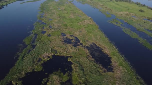 Luftaufnahmen Blick Von Oben Auf Den Fluss Mit Überflutungen Und — Stockvideo