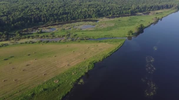 Luchtfotografie Bovenaanzicht Rivier Met Lozingen Eilanden — Stockvideo