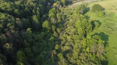 Hava fotoğrafçılığı. Nehrin akıntılı ve adalı üst manzarası
