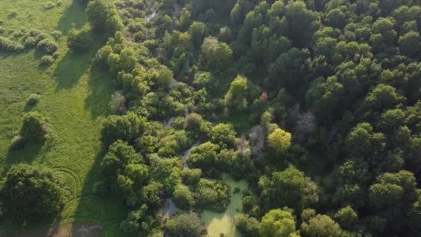 Luchtfotografie Bovenaanzicht Rivier Met Lozingen Eilanden — Stockvideo