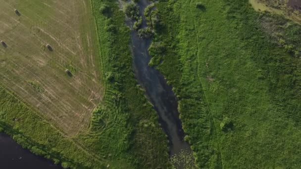 Fotografía Aérea Vista Superior Del Río Con Derrames Islas — Vídeos de Stock