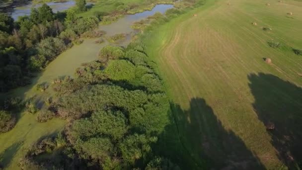 Luftaufnahmen Blick Von Oben Auf Den Fluss Mit Überflutungen Und — Stockvideo