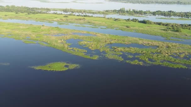 Luftaufnahmen Blick Von Oben Auf Den Fluss Mit Überflutungen Und — Stockvideo